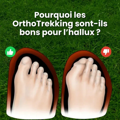 Chaussures de trekking ergonomiques imperméables semelle antidérapante