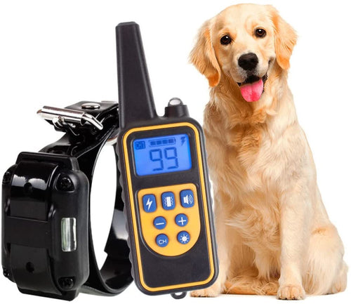 Collier dressage chien télécommande portée 800m étanche rechargeable USB