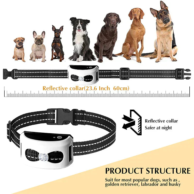 Clôture sans fil chien collier récepteur IP65 USB portée 300 m