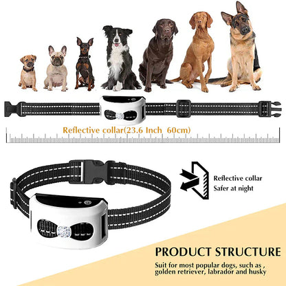 Clôture sans fil chien collier récepteur IP65 USB portée 300 m