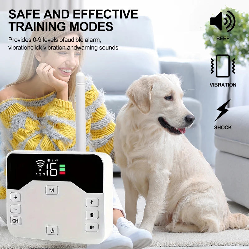 Clôture sans fil chien collier récepteur IP65 USB portée 300 m