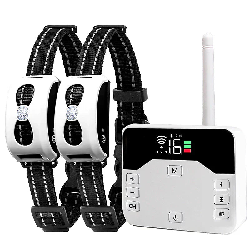 Clôture sans fil chien collier récepteur IP65 USB portée 300 m