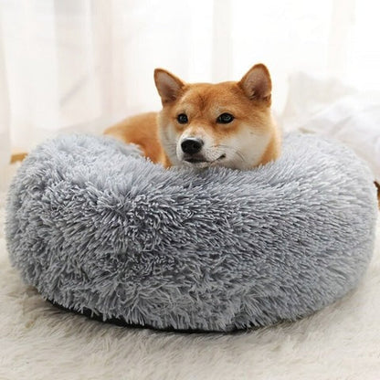 Coussin lit chien polaire peluche rebords surélevés housse lavable soutien articulaire S à XXL