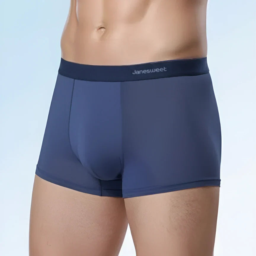 Boxershorts homme microfibre ice-silk coupe ajustée respirant