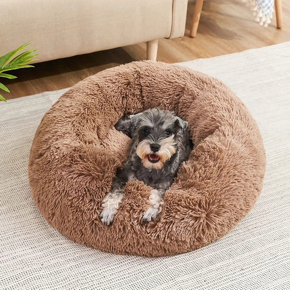 Coussin lit chien polaire peluche rebords surélevés housse lavable soutien articulaire S à XXL