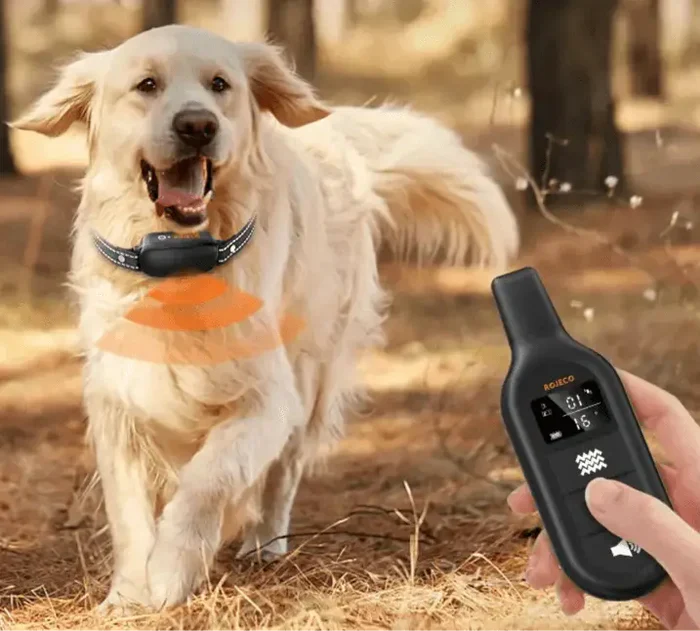 Collier dressage chien électrique télécommande 1000 m ABS sangle nylon rechargeable réglable