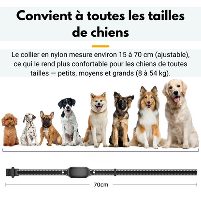 Collier dressage chien électrique télécommande 1000 m ABS sangle nylon rechargeable réglable