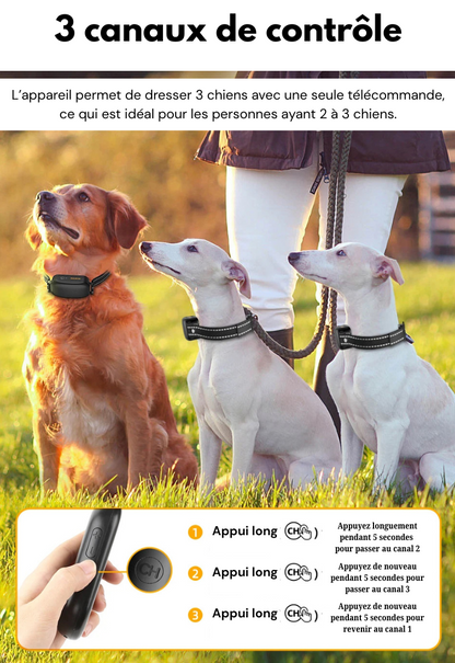 Collier dressage chien électrique télécommande 1000 m ABS sangle nylon rechargeable réglable
