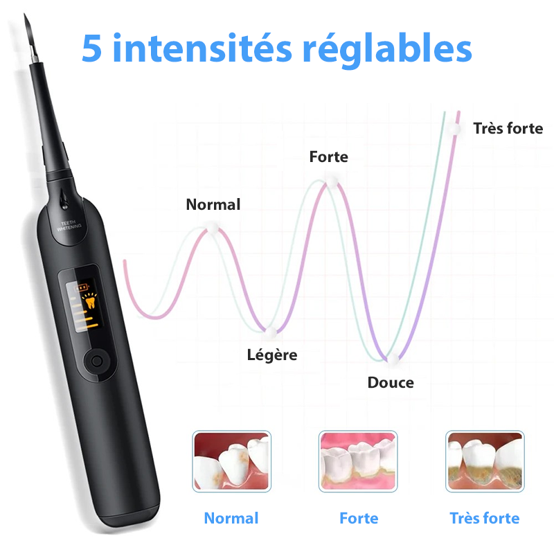 Détartreur dentaire électrique ultrasons IPX6 5 niveaux USB