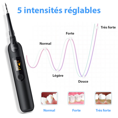 Détartreur dentaire électrique ultrasons IPX6 5 niveaux USB