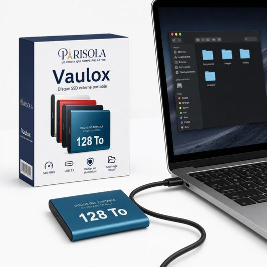 Disque SSD Externe Portable