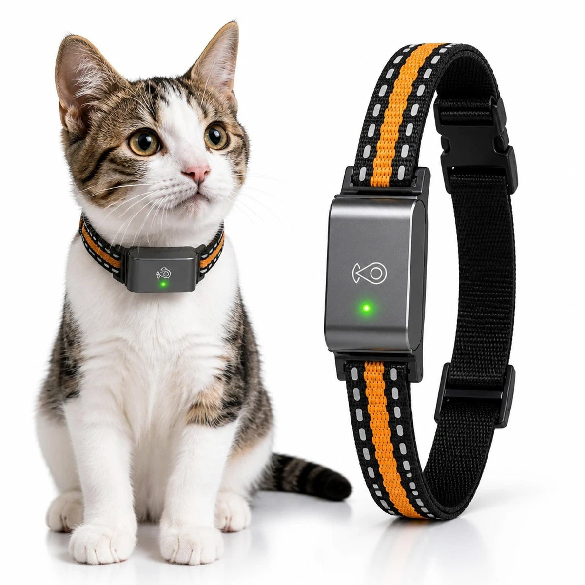 Traquelo – Collier GPS Chat