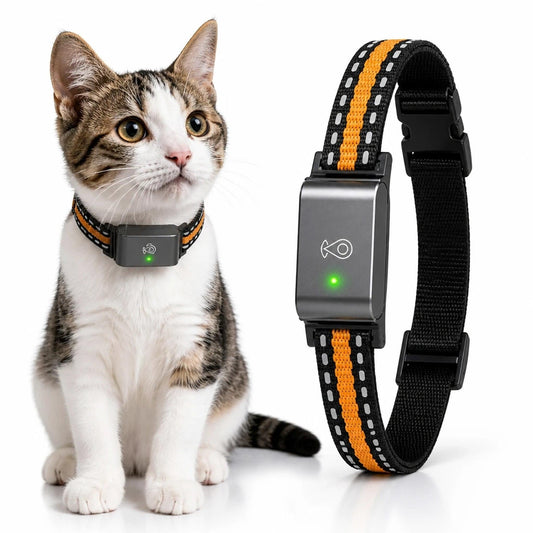 Traquelo – Collier GPS Chat