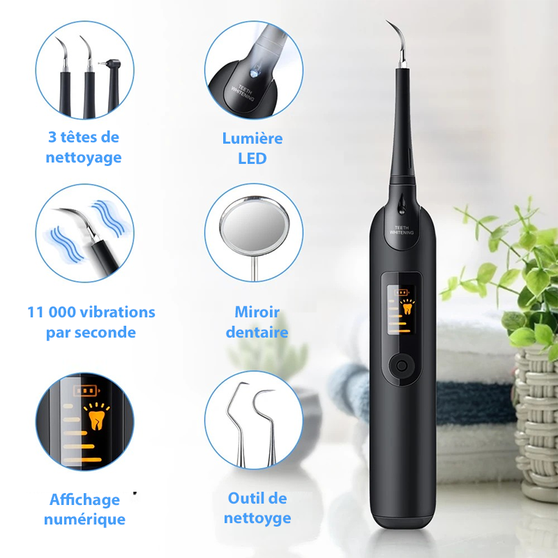Détartreur dentaire électrique ultrasons IPX6 5 niveaux USB